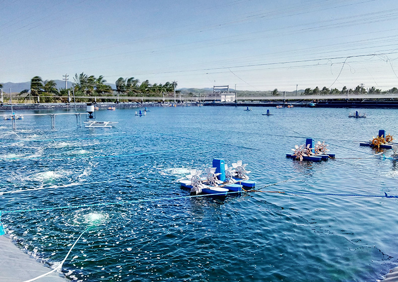 4G遠程遙控開關(guān)控制增氧機案例